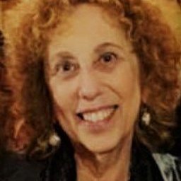Fern Selesnick Consulting