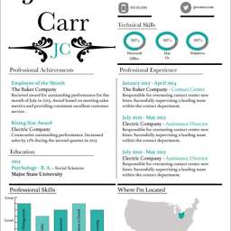 Vertex Resume Design